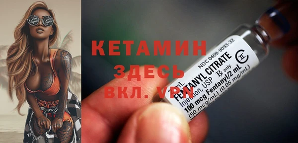 твердый Михайлов