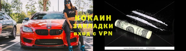 твердый Михайлов