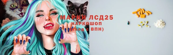 твердый Михайлов