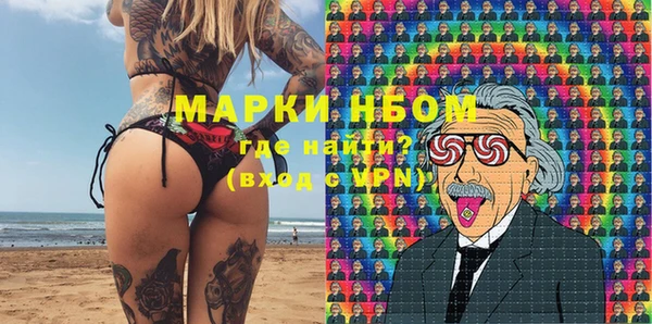 твердый Михайлов