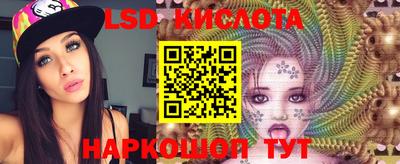 гашик Кимры
