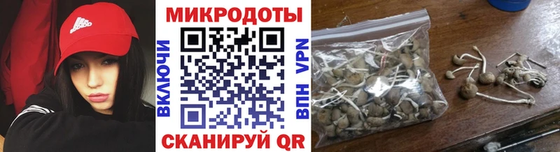 даркнет состав  Малоярославец  Галлюциногенные грибы Magic Shrooms 