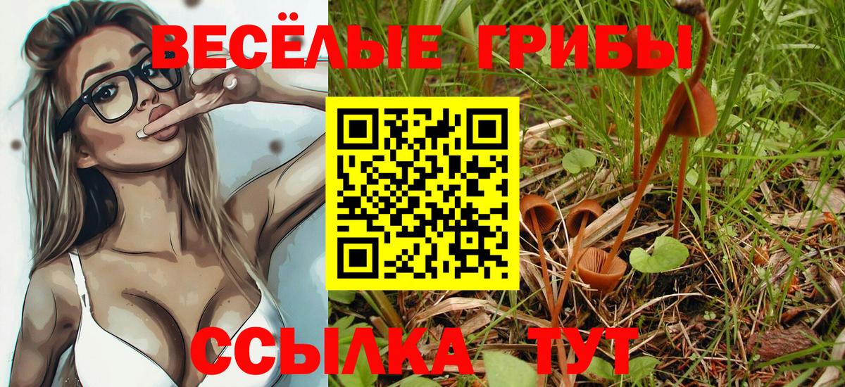 Псилоцибиновые грибы MAGIC MUSHROOMS Малоярославец